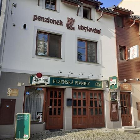 Ubytovani Nad Bisonem Hlinsko Extérieur photo
