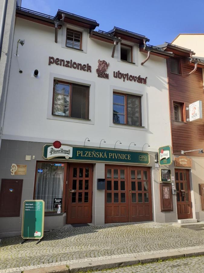 Ubytovani Nad Bisonem Hlinsko Extérieur photo