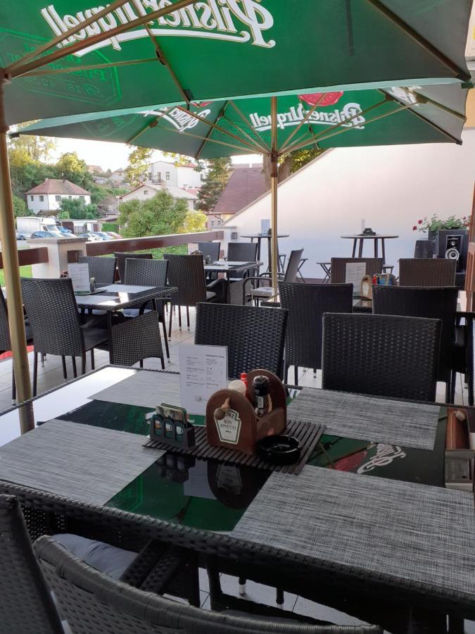 Ubytovani Nad Bisonem Hlinsko Extérieur photo