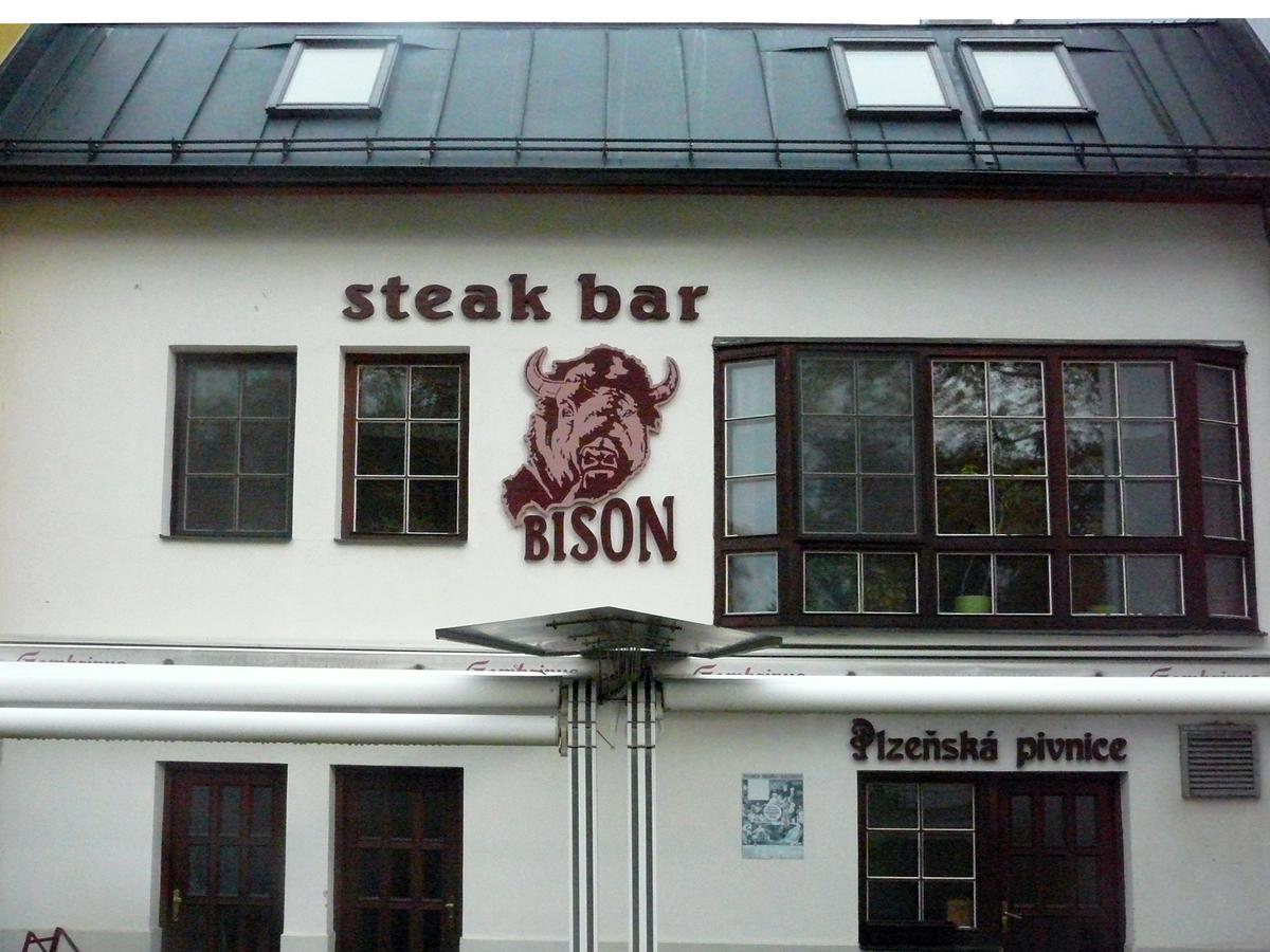Ubytovani Nad Bisonem Hlinsko Extérieur photo